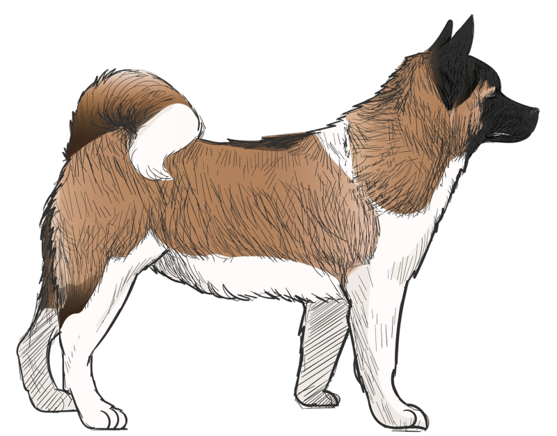 cropped-Akita.png http://paradiseankita.com/wp-content/uploads/2025/07/cropped-Akita.png